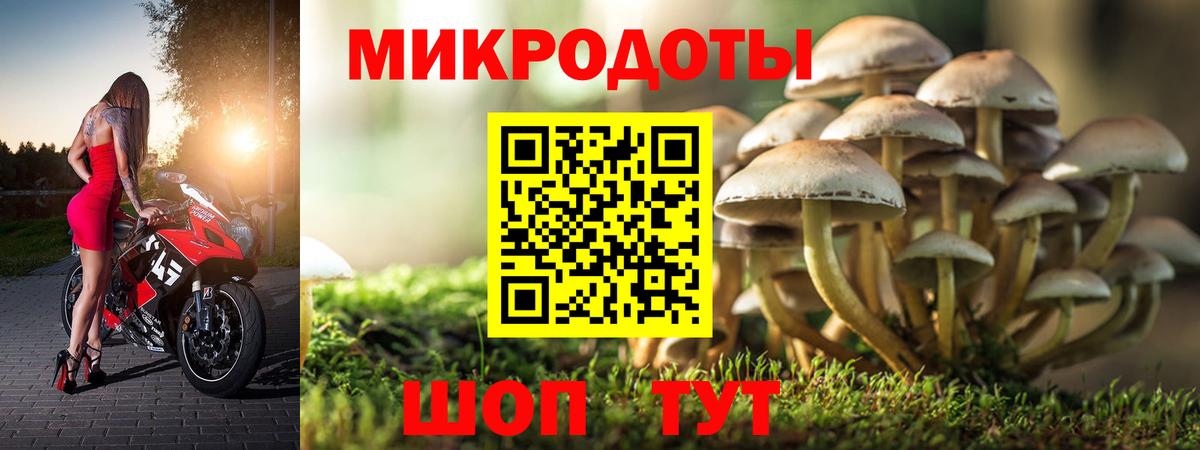 Моздок  Псилоцибиновые грибы мухоморы  Вход с VPN  Галлюциногенные грибы ЛСД 