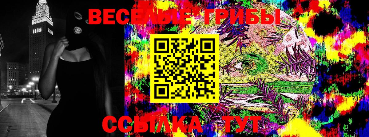 Псилоцибиновые грибы Cubensis Моздок